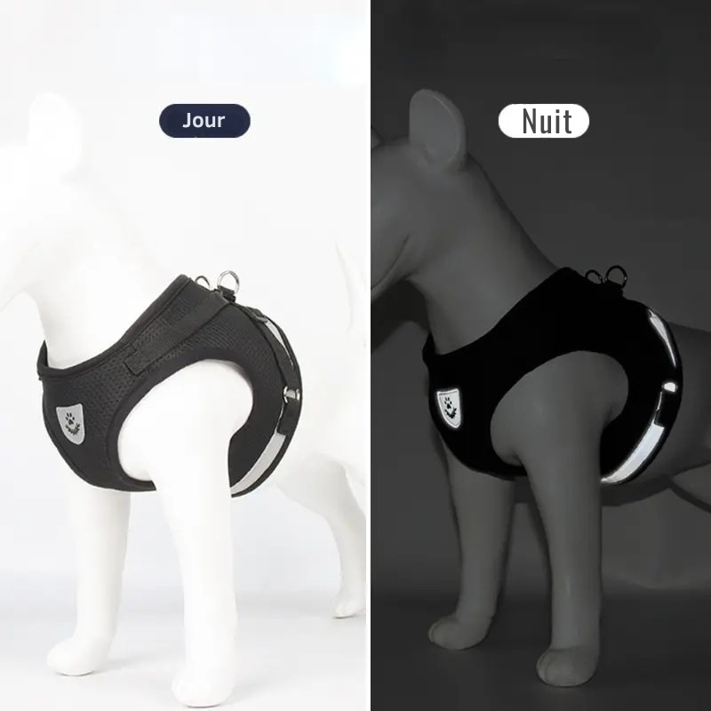 Harnais Réfléchissant avec Laisse Rétractable – Sécurité & Confort pour Chien