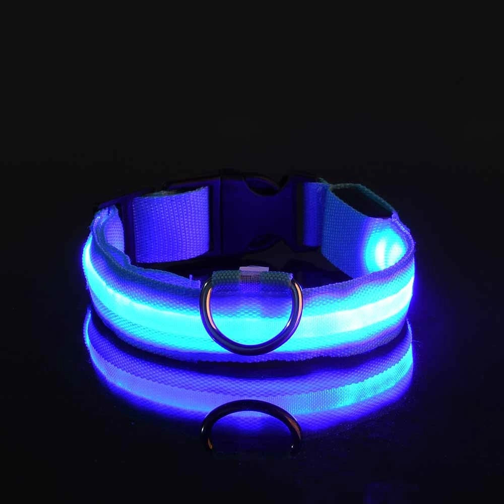 Collier Lumineux LED pour Chien – 4 Modes, Réglable, Nylon Résistant