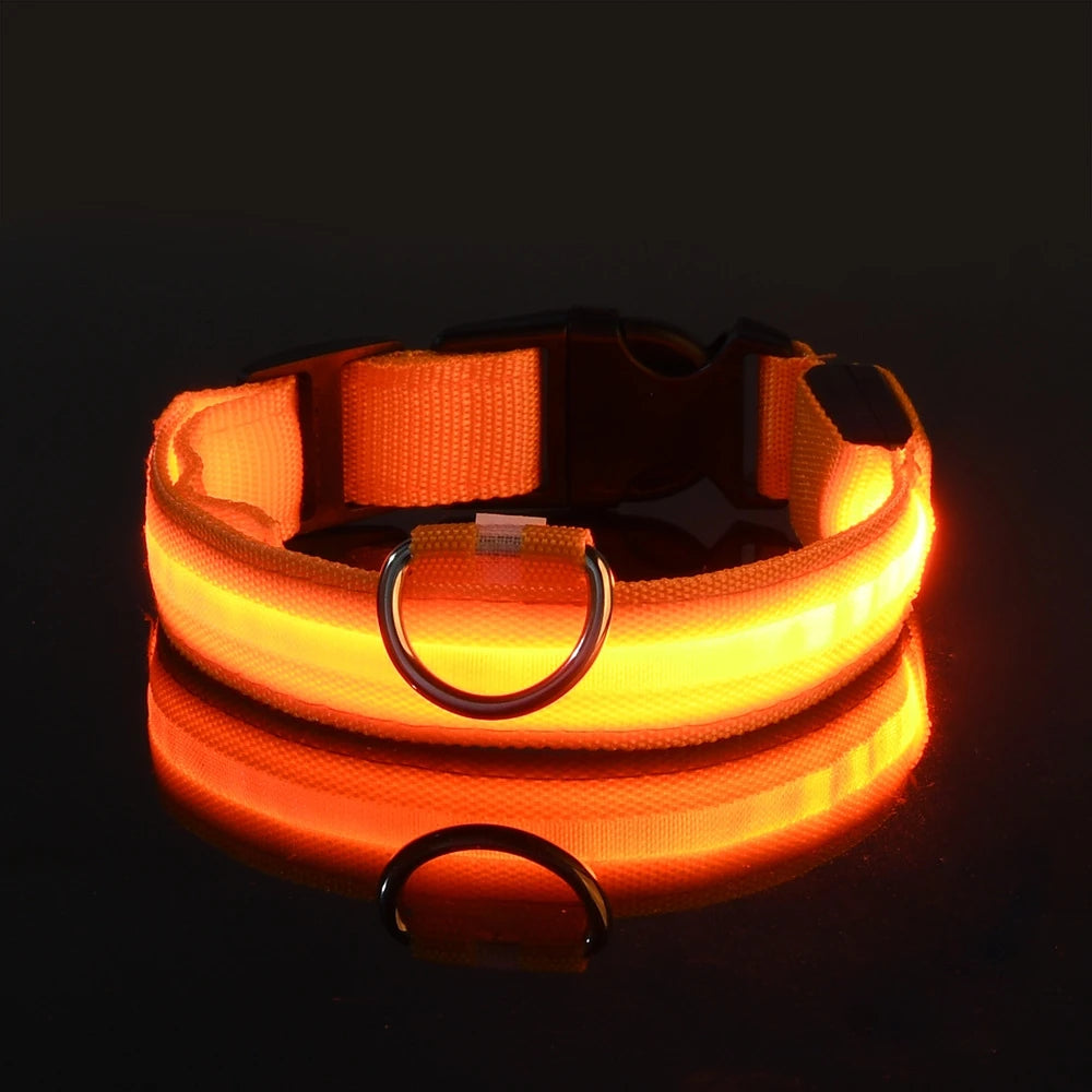 Collier Lumineux LED pour Chien – 4 Modes, Réglable, Nylon Résistant