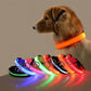 Collier Lumineux LED pour Chien – 4 Modes, Réglable, Nylon Résistant