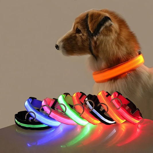 Collier Lumineux LED pour Chien – 4 Modes, Réglable, Nylon Résistant