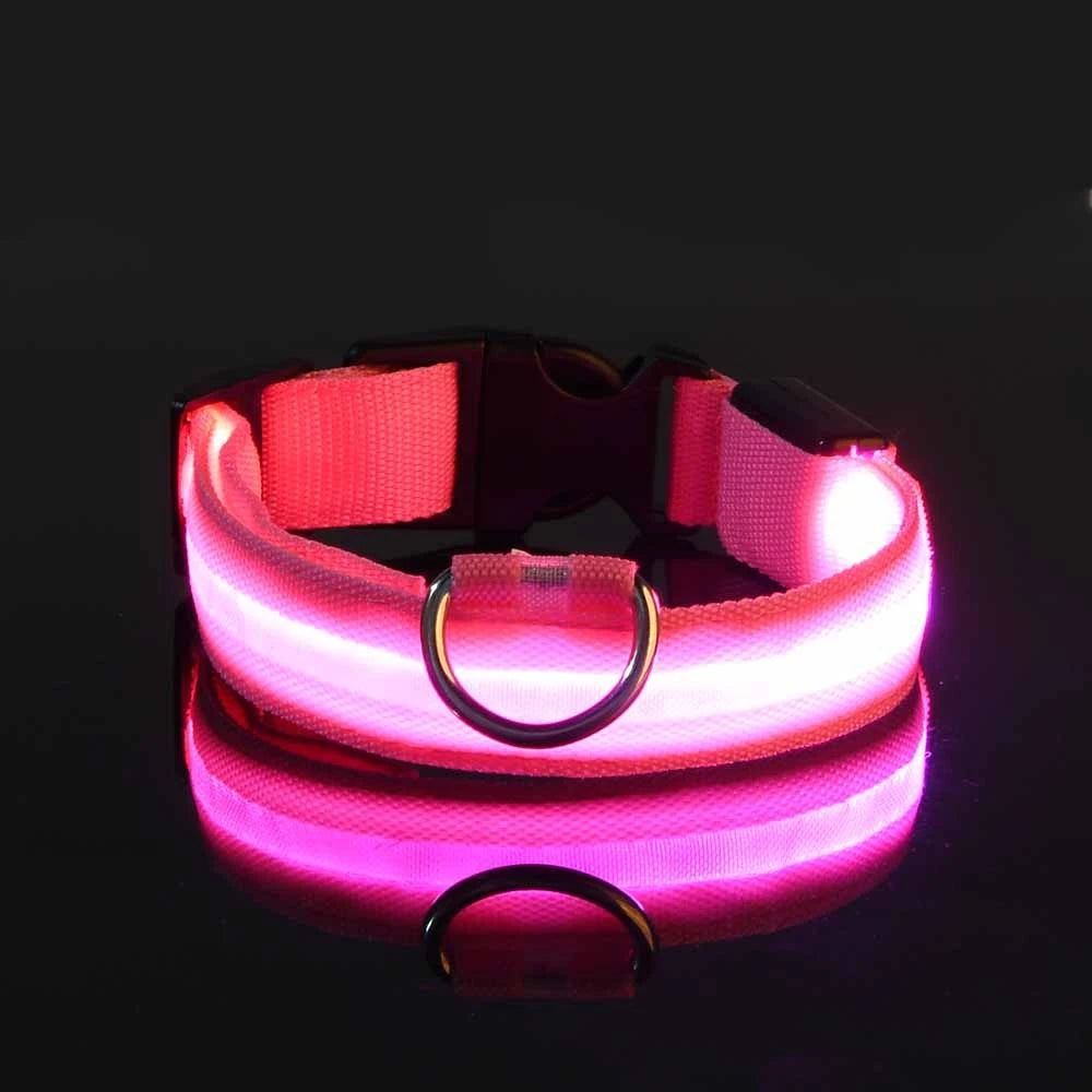 Collier Lumineux LED pour Chien – 4 Modes, Réglable, Nylon Résistant