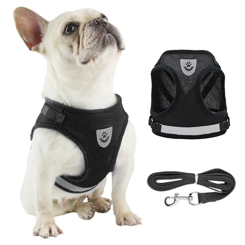 Harnais Réfléchissant avec Laisse Rétractable – Sécurité & Confort pour Chien