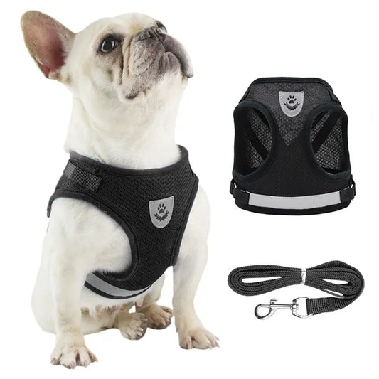 Harnais Réfléchissant avec Laisse Rétractable – Sécurité & Confort pour Chien